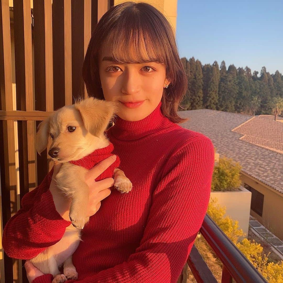 山出愛子のインスタグラム：「まる。ちゃんとお出かけ😌  この日は天気も良かったから 夕日も綺麗だった〜！ まる。ちゃんめっちゃちゅーしてくるの笑 かわいいでしょ！ まる。ちゃんとお洋服の色も大好きな赤でお揃いにしたよ❣️ 沢山走り回って楽しかったな❤️ #いぬのいる暮らし #犬のいる暮らし #わんちゃん #ちわっくす #チワックス #いぬすたぐらむ」