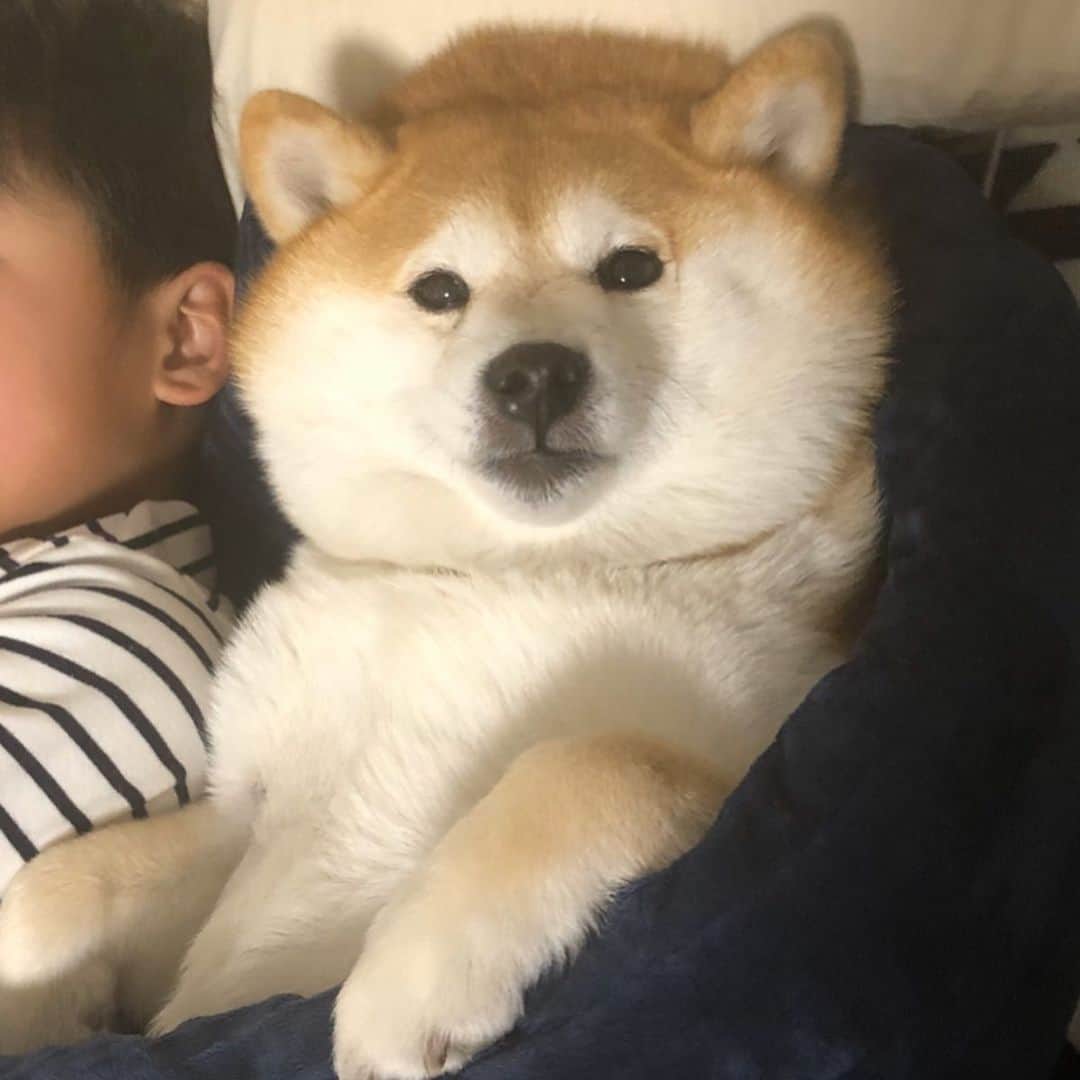 いなりのインスタグラム