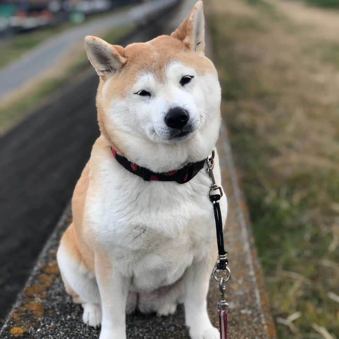 こなつさんのインスタグラム写真 - (こなつInstagram)「今日の写真です〜〜😊」2月8日 18時17分 - makonatu