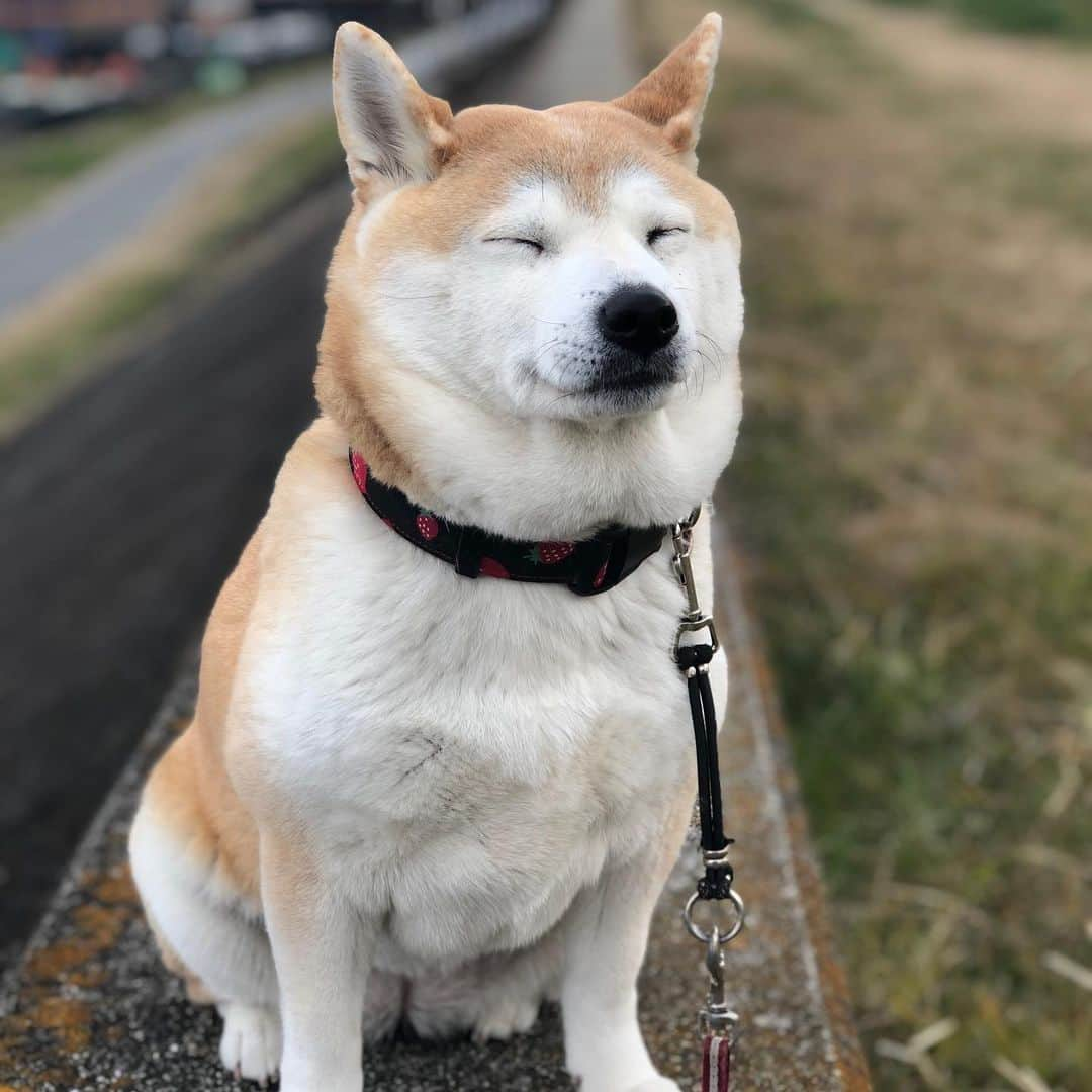 こなつさんのインスタグラム写真 - (こなつInstagram)「今日の写真です〜〜😊」2月8日 18時17分 - makonatu