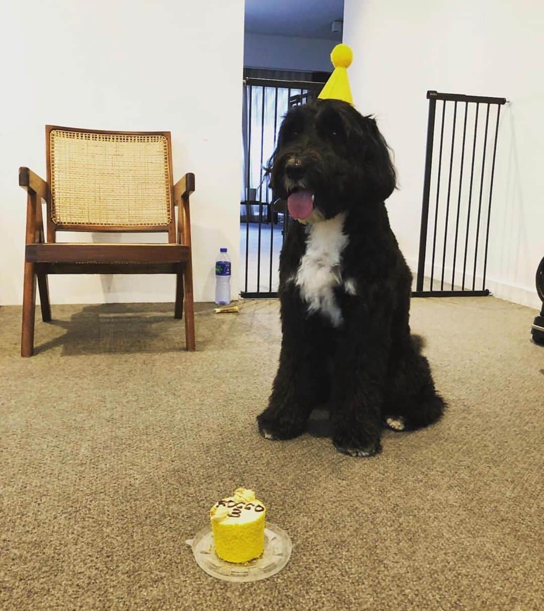 のインスタグラム：「HAPPY BIRTHDAY TO MY BOY Miss you so much~  #3 years old」