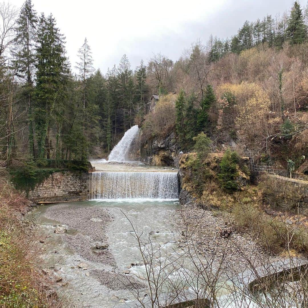 ミリアム・ツィーグラーさんのインスタグラム写真 - (ミリアム・ツィーグラーInstagram)「Geocaching in Österreich #geocaching #cach #nature #likeforlikes #like4likes #hobby #outdoor #fun #groundspeak #foundit #tftc」2月8日 18時30分 - z_l1n3_c