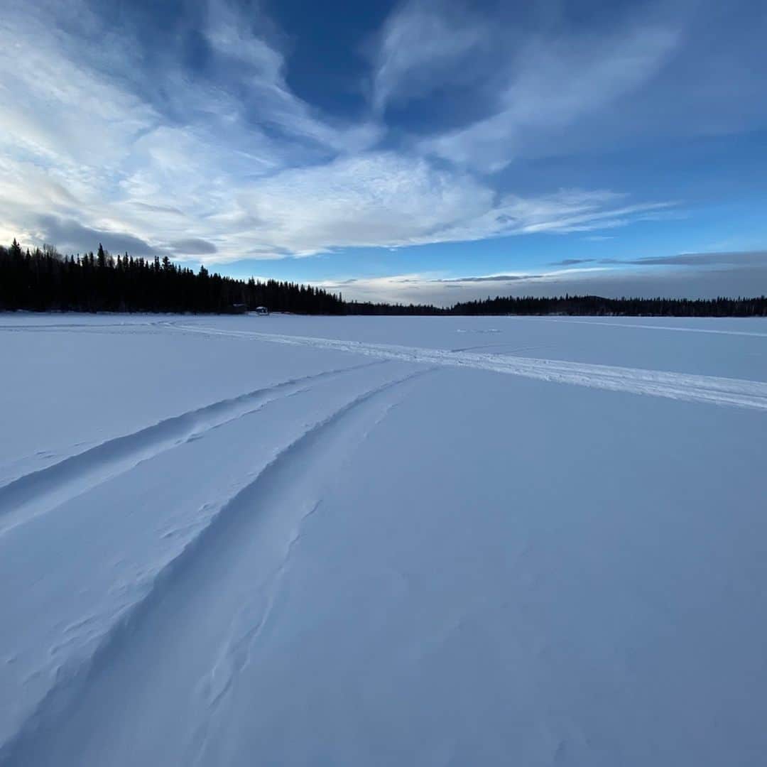 長谷川朋美さんのインスタグラム写真 - (長谷川朋美Instagram)「#アラスカ では人生初の#アイスフィッシング 体験をしました♡ ・ 凍った湖の上に車を走らせて自分たちで穴を開けて…見事にみんなお魚を釣り上げることができました😆 ・ その後、#チャーガ と言う、白樺の木に生息する幻のキノコの収穫を見せてもらったり、日本ではできない、かなり貴重な経験‼︎ ・ アラスカ思ってたよりかなり楽しいです✨✨✨ ・ #icefishing #釣り #fishing #湖 #lake #雪 #snow #冬 #winter #アラスカ #Alaska」2月8日 20時53分 - hasegawa.elena.tomomi