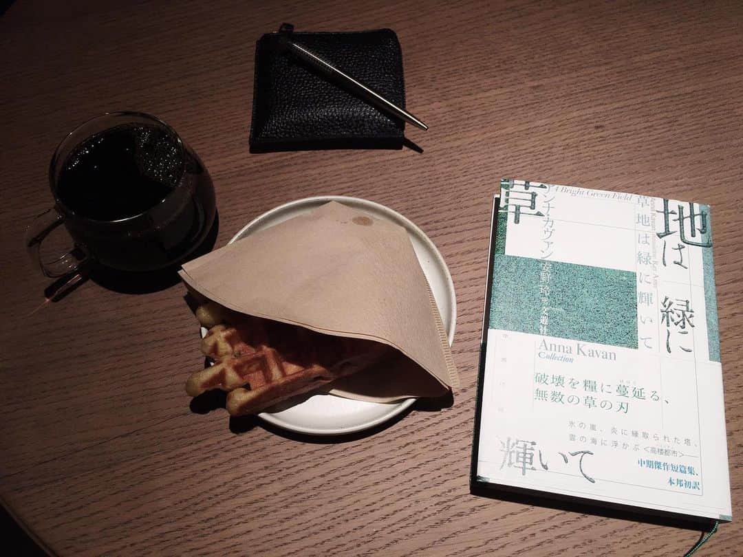 藤野可織のインスタグラム：「寒い日のアンナ・カヴァン❄️」