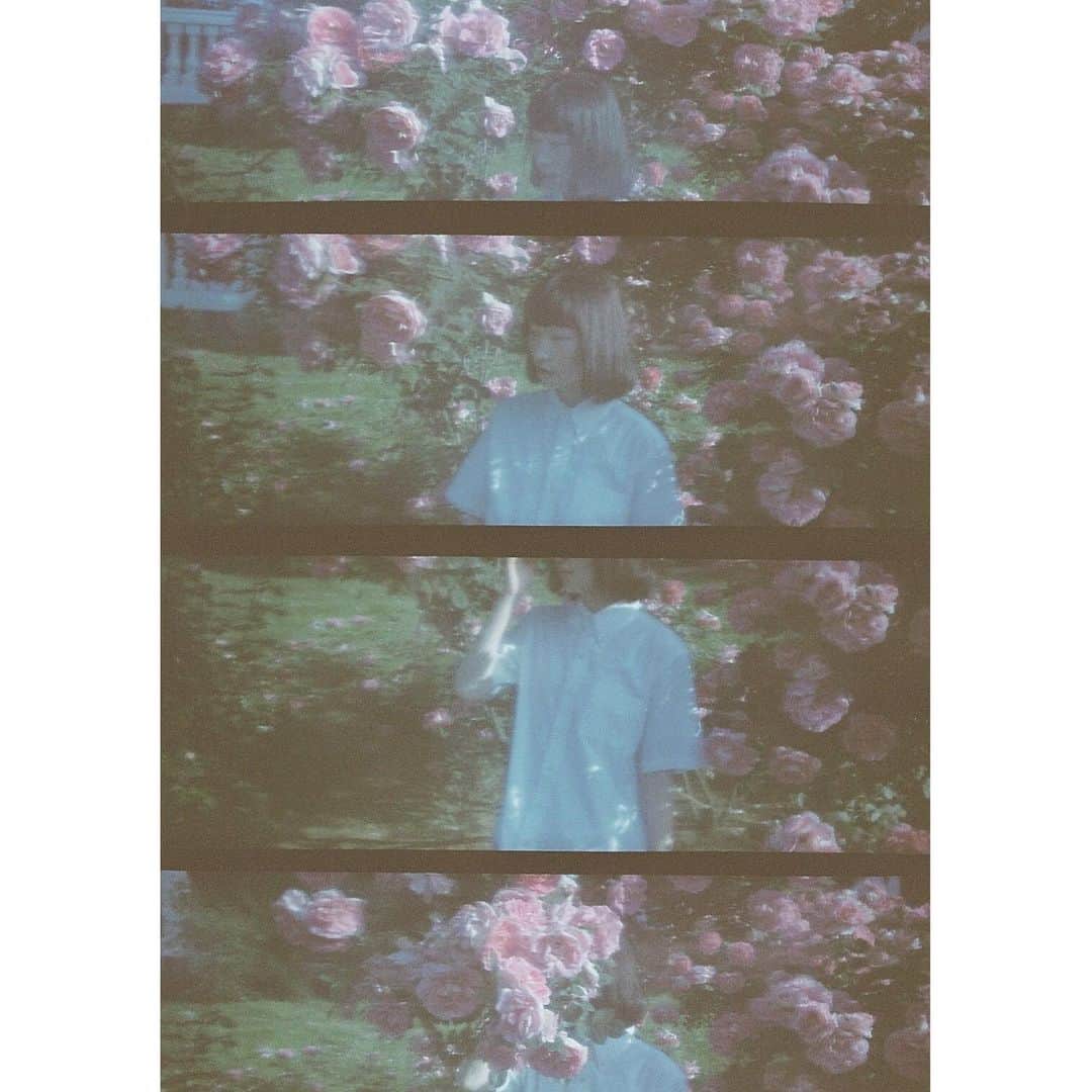 bambiflexのインスタグラム：「#film #onfilm #ishootfilm #filmisnotdead #film_com #film_jp #into_the_screen #igersjp #instagramjapan #filmphotography #analog #analoguefeatures #analoguefilm #analoguepeople #analogue_people #theanalogclub #as_archive #vague_memories #フィルム #フィルムカメラ #フィルム写真 #lomokino #35mmfilm」