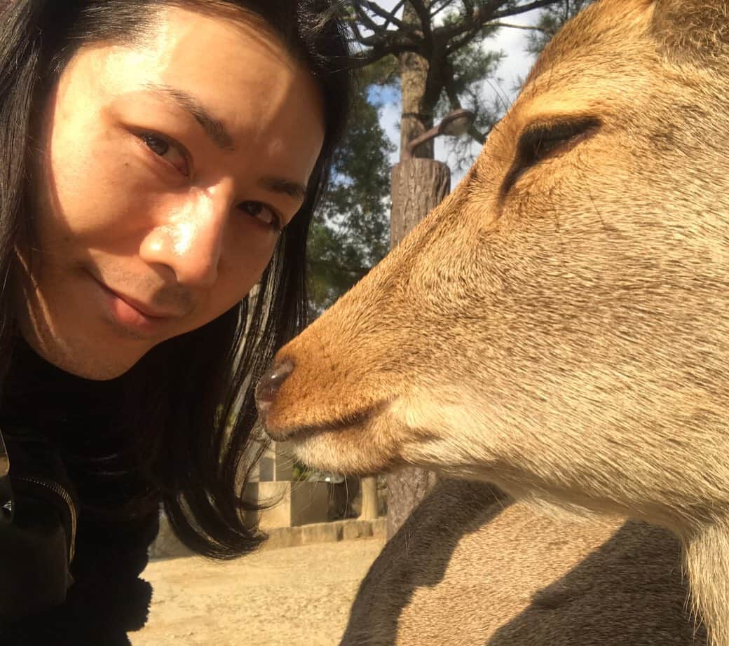 小林尊のインスタグラム：「my semi-wild friend 半野生友達」