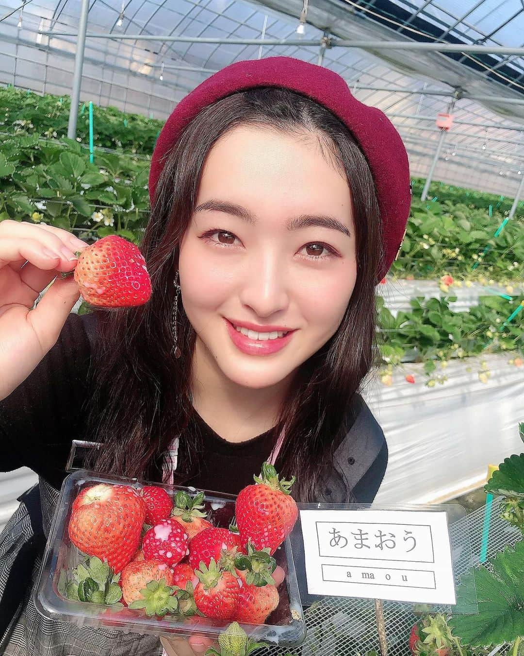 田島芽瑠さんのインスタグラム写真 - (田島芽瑠Instagram)「🍓いちご狩り2020🍓」2月8日 22時05分 - meru_chan_official