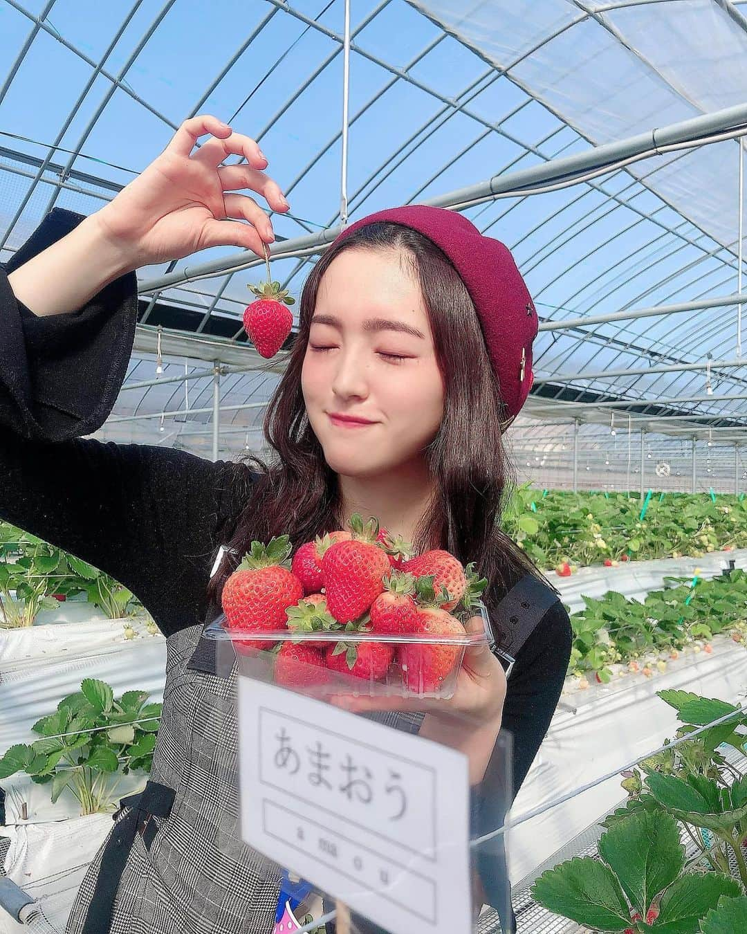 田島芽瑠さんのインスタグラム写真 - (田島芽瑠Instagram)「🍓いちご狩り2020🍓」2月8日 22時05分 - meru_chan_official