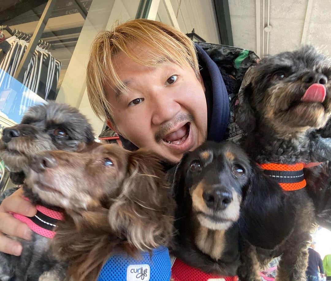 植田朝日のインスタグラム：「🐶🐶🐶 ダニーロ軍団4匹と旅に行って来たぜ‼️ 終始ハイテンションだったな！w  また行きましょう。  YNWA  #ダニーロ軍団 #愛犬」