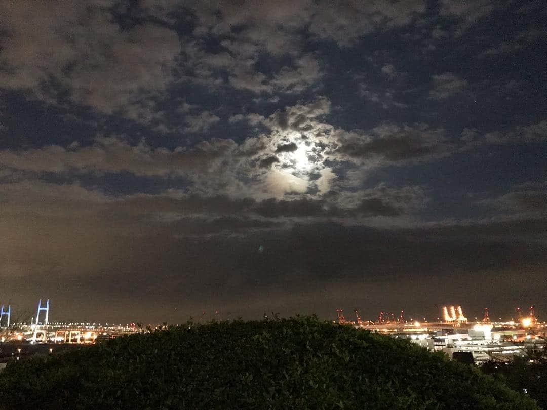 辻仁成さんのインスタグラム写真 - (辻仁成Instagram)「根岸公園の月。もうすぐ満月🌕なり。」2月8日 23時06分 - tsujihitonari