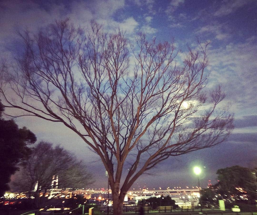 辻仁成さんのインスタグラム写真 - (辻仁成Instagram)「根岸公園、30年ぶりの。懐かしかった。また、いつか。」2月8日 23時09分 - tsujihitonari