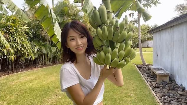 近藤しづかさんのインスタグラム写真 - (近藤しづかInstagram)「BANANA🍌 . 私にとっての ハワイの魅力はなんと言っても... ①自然の力をビンビンに感じられること ②陽気で明るいハワイの方とのコミュニケーション なんじゃないかなぁ〜 と思っています🌺☀️ . 今回はお友達のお庭で 素敵な体験をさせて頂きました♪ . 自分で収穫すると さらに... あ〜愛おしい♡ . #bananacut  #banana #applebanana  #バナナ #アップルバナナ」2月9日 9時00分 - shizuka_kondo