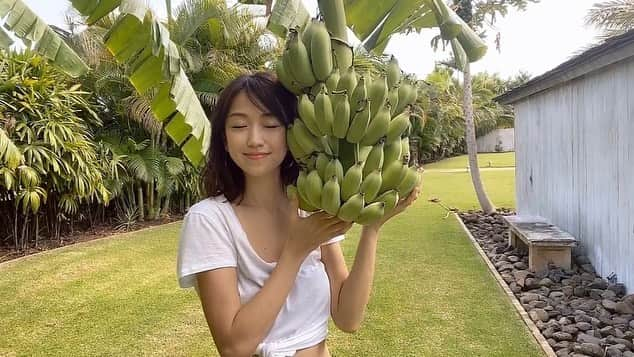 近藤しづかさんのインスタグラム写真 - (近藤しづかInstagram)「BANANA🍌 . 私にとっての ハワイの魅力はなんと言っても... ①自然の力をビンビンに感じられること ②陽気で明るいハワイの方とのコミュニケーション なんじゃないかなぁ〜 と思っています🌺☀️ . 今回はお友達のお庭で 素敵な体験をさせて頂きました♪ . 自分で収穫すると さらに... あ〜愛おしい♡ . #bananacut  #banana #applebanana  #バナナ #アップルバナナ」2月9日 9時00分 - shizuka_kondo