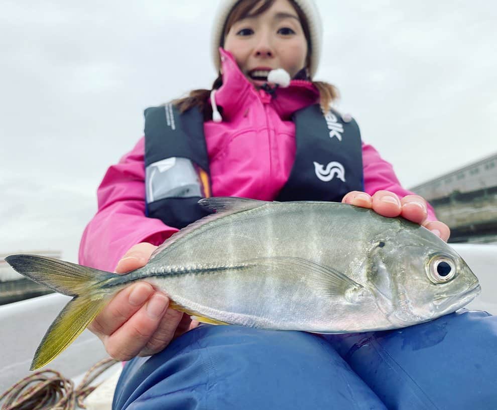 のインスタグラム：「✔︎﻿ 今朝の釣りたガール！﻿ ﻿ 観てくださった方ありがとうございます🙏﻿ ﻿ 大阪湾ボートシーバスでは﻿ ﻿ メッキの楽園を発見し、大満喫😍﻿ ﻿ 膝持ち写真、撮っちゃうよね〜﻿ ﻿ GTだもの〜💕﻿ ﻿ 最後の大阪市内のクルージングは﻿ ﻿ いつも見ている景色を川から眺められ﻿ ﻿ 非日常を味わえました🤤﻿ ﻿ なおちんも喜んでくれて良かった❣️﻿ ﻿ FUJIYAMAさんは気軽な短時間コースもあるので﻿ ﻿ ぜひ利用してみてください🛥﻿ いま、カンテレドーガやTVer、GYAO!にて  無料見逃し配信中です！ ﻿ さて、きょうは大阪フィッシングショー楽しむぞ🎣﻿ ﻿ ﻿ ﻿ ﻿ #釣りたガール﻿ #ボートシーバス﻿ #FUJIYAMA﻿ #大阪湾﻿ #メッキ﻿ #ヒラスズキ﻿ #メッキ﻿ #gt﻿ #キャスティング﻿ #ルアー﻿ #バイブレーション﻿ #エアディープ﻿ #サイレントアサシン﻿ #なおちん﻿ #井上直美　ちゃん﻿ #水都大阪 ﻿ #クルージング﻿ #海﻿ #川﻿ #大阪のええとこ ﻿ #大阪観光 ﻿ #大阪旅行 ﻿ #大阪﻿ #カンテレ﻿ #フィッシングショー大阪」