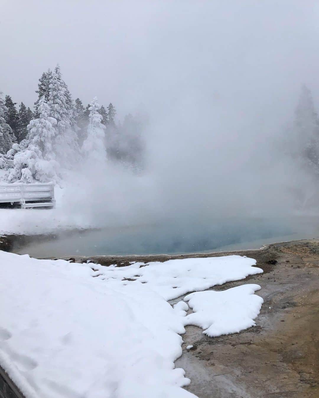ポーラ・クリーマーさんのインスタグラム写真 - (ポーラ・クリーマーInstagram)「Yellowstone National Park, beautiful doesn’t do you justice!!!!! This was one of the best experiences I have ever had. #snowmobile #passenger😂  #sorryforthepoorvideoskillsmyhandwasfrozen」2月9日 2時50分 - paulacreamer1