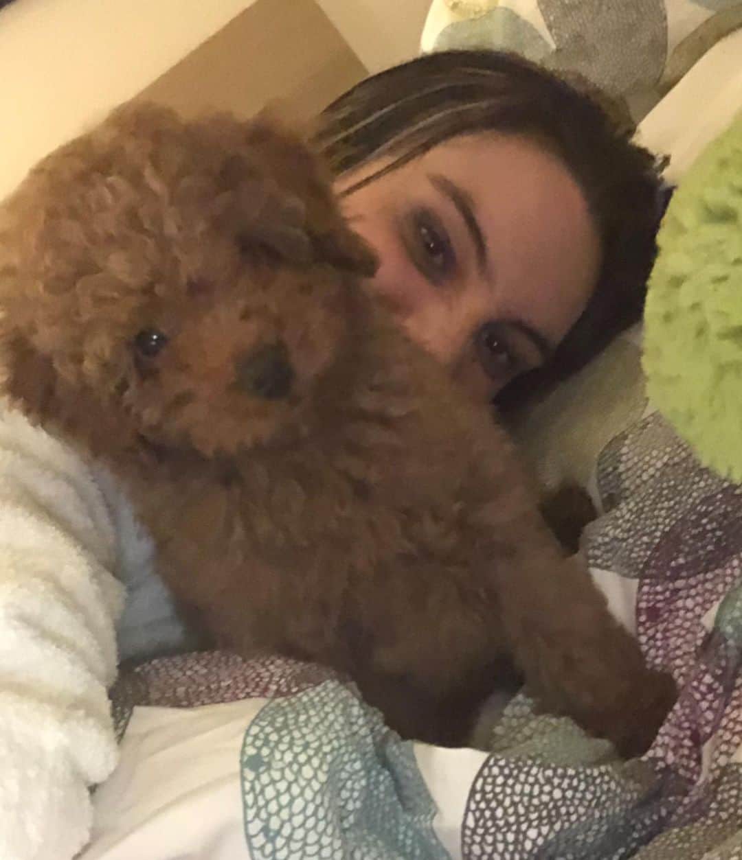 Leleponsさんのインスタグラム写真 - (LeleponsInstagram)「HAPPY BIRTHDAY TOBY🐶❤️ my baby is 1 year old today !」2月9日 4時33分 - lelepons