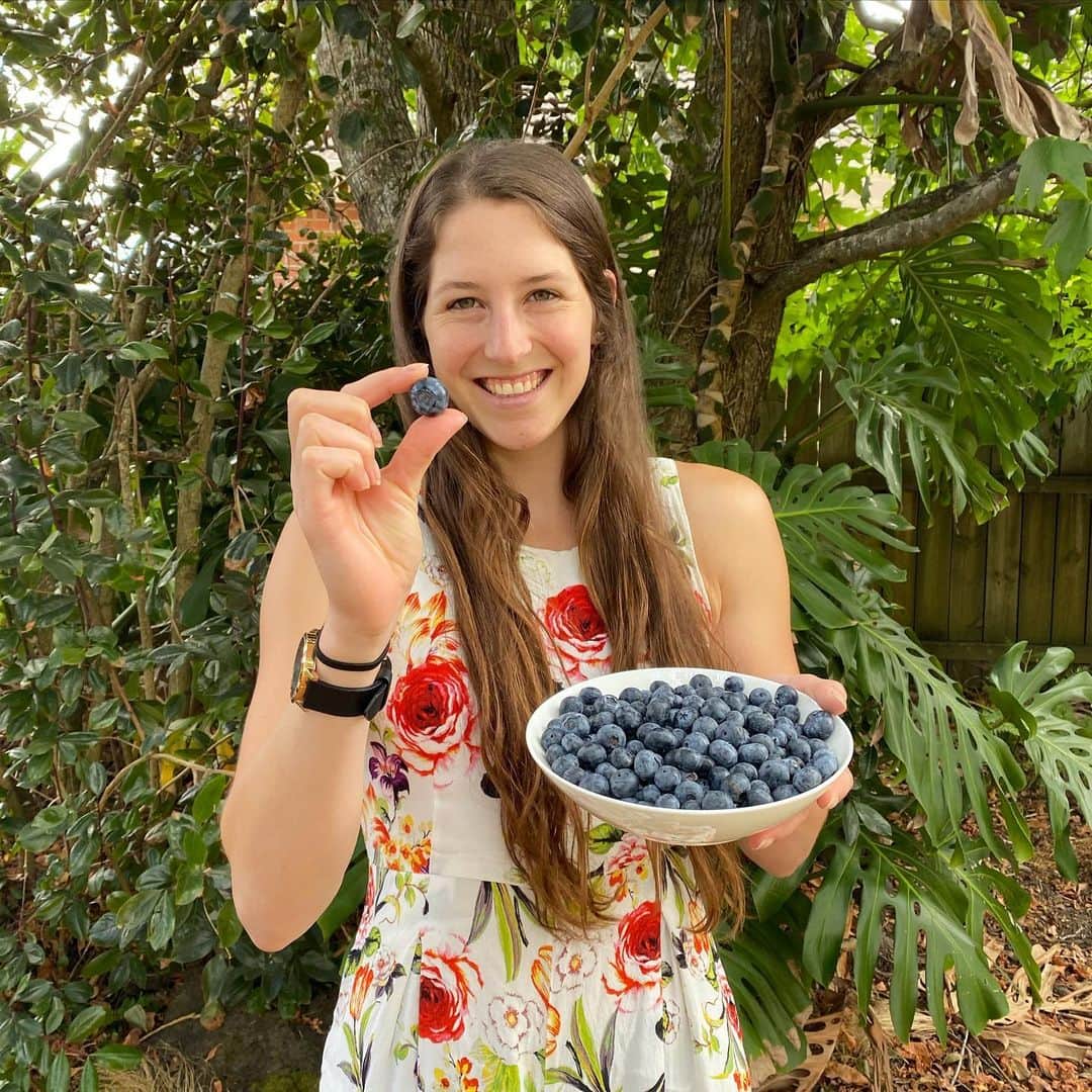 エリザ・マッカートニーさんのインスタグラム写真 - (エリザ・マッカートニーInstagram)「Would it really be summer without blueberries ☀️🤷🏻‍♀️ I can’t be the only one who can’t stop eating them at the moment, which is really quite a good thing, because these little super fruits have one of the highest antioxidant capacities any fruit or vegetable can hold! Basically, I’ll just keep throwing them back 🙊🤤 @blueberriesnz #blueberries #superfruit #summer #blueberriesnz」2月9日 4時51分 - eliza_mac_
