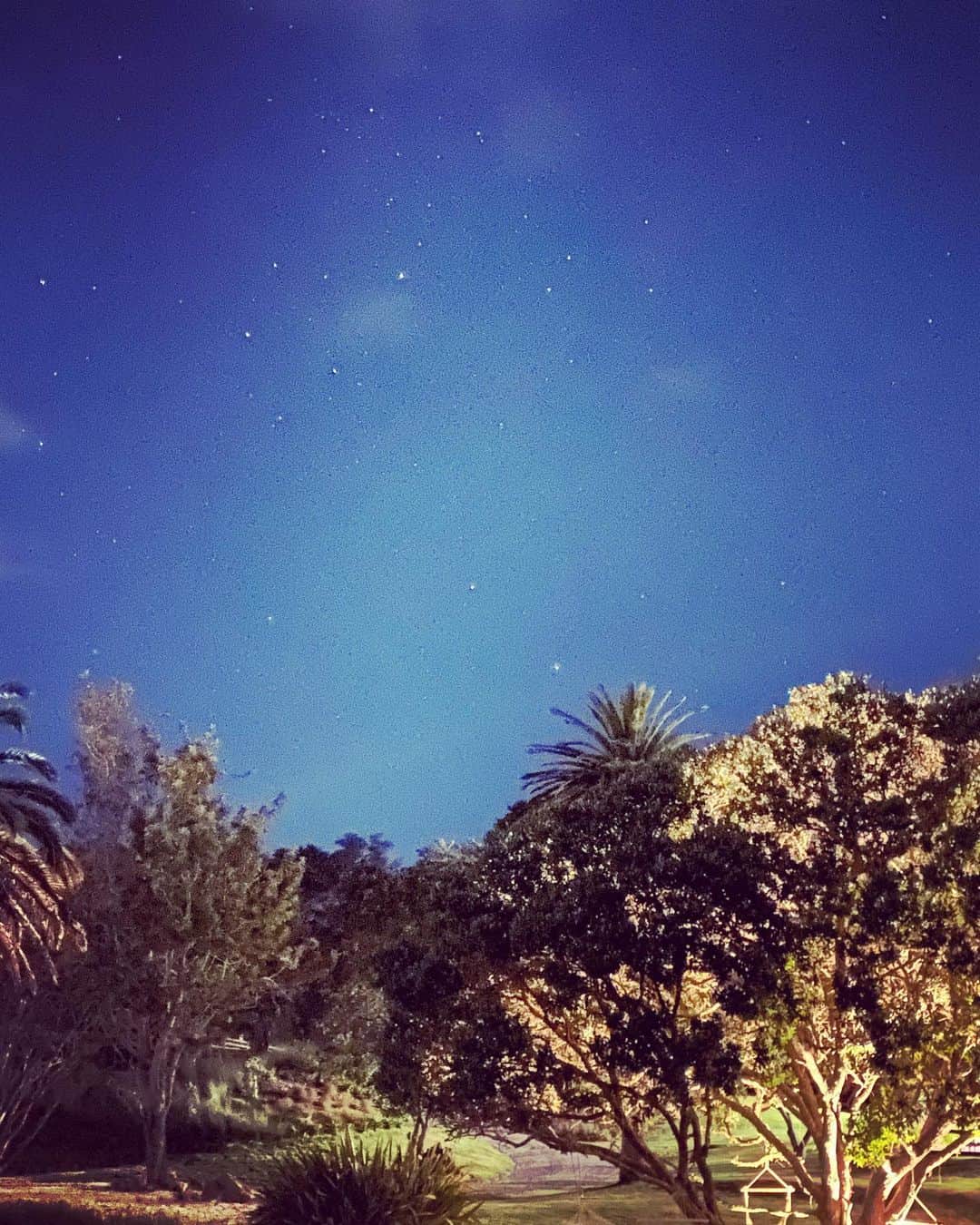 ブライアン・メイさんのインスタグラム写真 - (ブライアン・メイInstagram)「A beautiful spot about 45 mins outside Auckland ... and a sight we don’t see at home - the Southern Cross (upper left) - with the two bright stars that are the ‘pointers’ to it - Alpha and Beta Centauri.  And then the Brave Stars of my old friend Orion - who appears upside down, down here in the Southern Hemisphere (try explaining THAT from a flat-earth point of view !!😂) - with a very much faded Betelgeuse (here below the three stars that line up to make Orion’s Belt) - no longer a first magnitude star.  All the astronomers are wondering if it’s exploded and we might see that explosion soon, when the light from it reaches us.  Light from Betelgeuse takes about 650 years to get to us.  Things to ponder.  Bri」2月9日 8時53分 - brianmayforreal