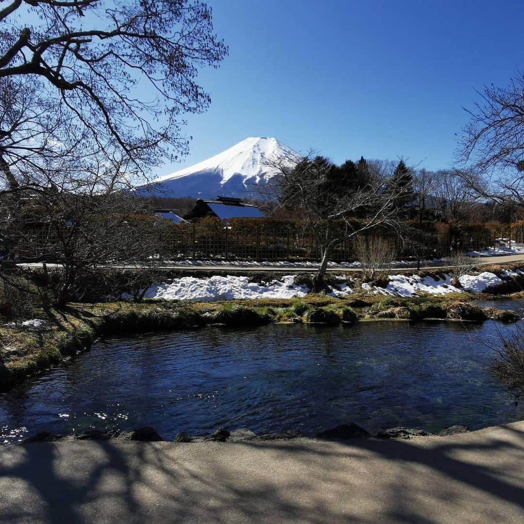 怜花さんのインスタグラム写真 - (怜花Instagram)「富士山🗻👏 ・ 忍野八海に行ってきました✨✨ すっごく綺麗だった！(*´°`*)🍀 ・ パワーを感じました！！！💪🗻 ・ #富士山　#忍野八海」2月9日 19時52分 - reika_0419