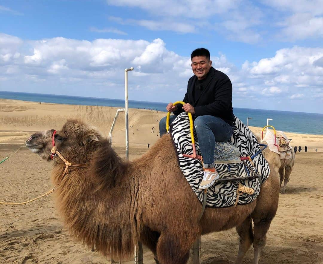 松田力也さんのインスタグラム写真 - (松田力也Instagram)「鳥取に普及活動に行ってきました！﻿ すごくよかったです！！﻿ ﻿ 写真は鳥取砂丘‼️﻿ めっちゃ綺麗やった！！﻿ ラクダにも乗りました(笑)﻿ ﻿具くんも一緒に👍 ﻿ #ラグビー普及﻿ #鳥取砂丘﻿ #ラクダ」2月9日 18時45分 - rikkyon10