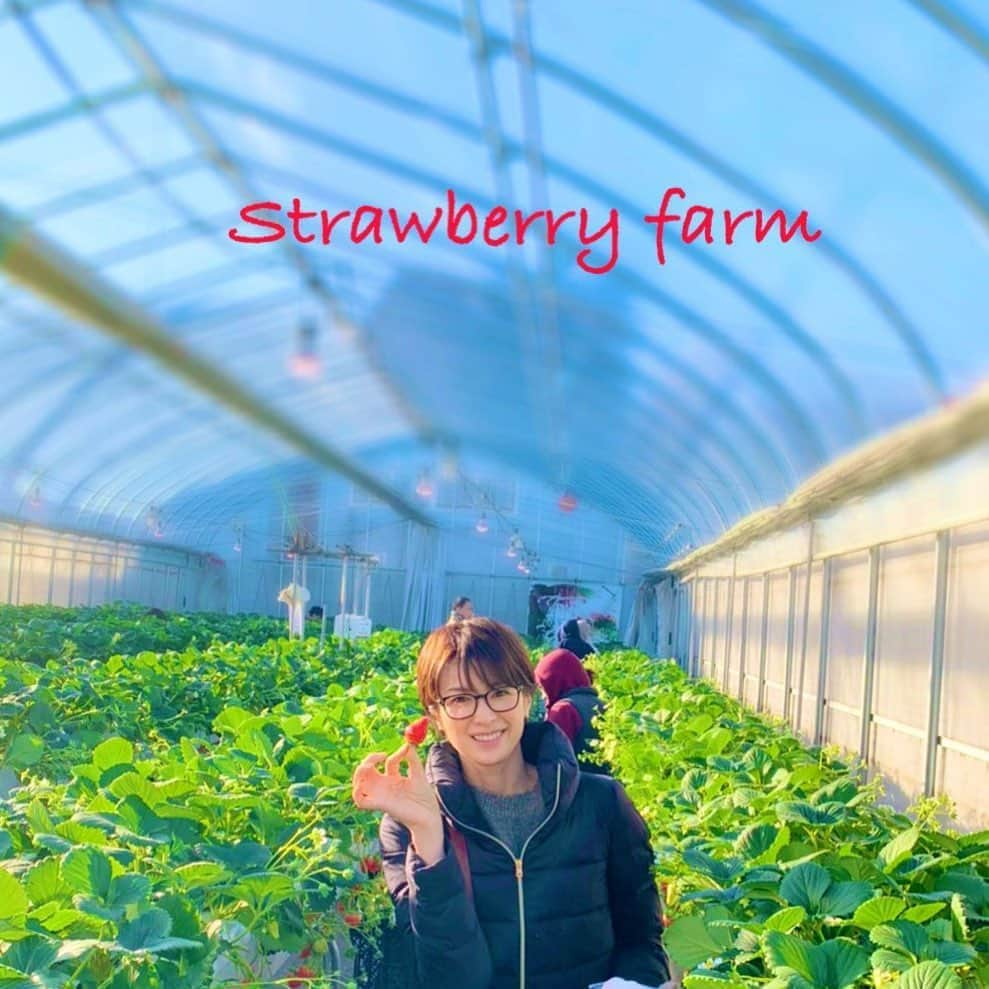 吉瀬美智子さんのインスタグラム写真 - (吉瀬美智子Instagram)「早朝からお友達ファミリーと苺狩り🍓 連日ママは娘に付き合っております💦 その後、公園で遊びランチして自転車 ねむねむでございます。仮眠します💤」2月9日 19時10分 - michikokichise