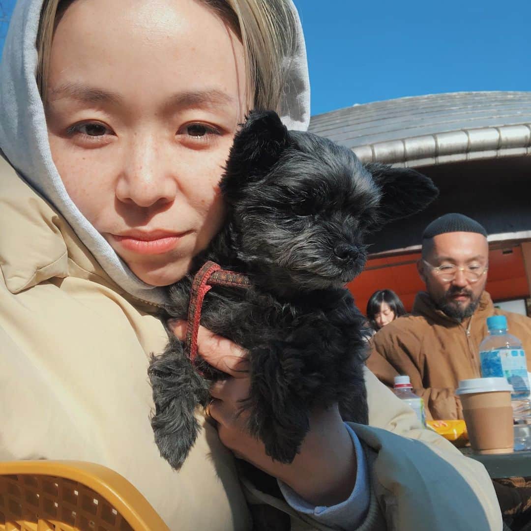 金子渚さんのインスタグラム写真 - (金子渚Instagram)「うん、寒い🐕‍🦺👨🏾‍🦲 #こっちゃん　#チワプー」2月9日 19時21分 - nagisakaneko