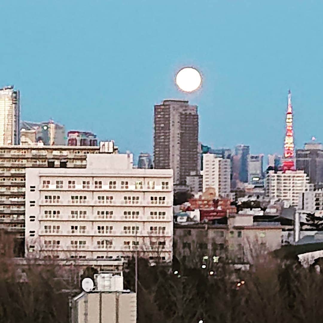 日比野玲さんのインスタグラム写真 - (日比野玲Instagram)「東京タワーと月、やね！ #あるね」2月9日 19時42分 - aquilano_hibino