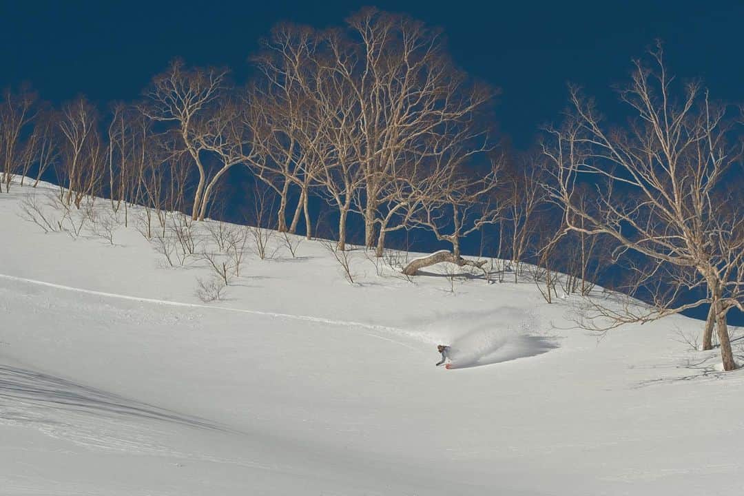 藤森由香さんのインスタグラム写真 - (藤森由香Instagram)「白馬八方のバックカントリーに初めて行ってきた。白馬が面白いと有名な理由がわかる‼️🤤 📸@forestlogd  #burtonsnowboards #oakley#hakuba#japan#nagano#snowboard#backcountry#フジターン#日本を滑る」2月9日 11時22分 - yukafujiforest