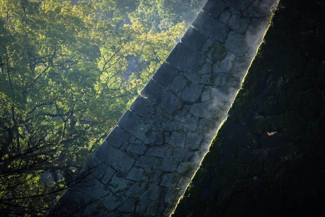 熊本城さんのインスタグラム写真 - (熊本城Instagram)「#熊本城フォトコンテスト 2019下期入賞作品が決定しました。  熊本城フォトコンテスト2020も受付中です！  https://kumamoto-guide.jp/kumamoto-castle/photocontest/  #熊本城 #kumamotocastle #熊本 #kumamoto #japan #japantrip  #earthquake #天守 #石垣」2月9日 11時25分 - kumamoto_castle