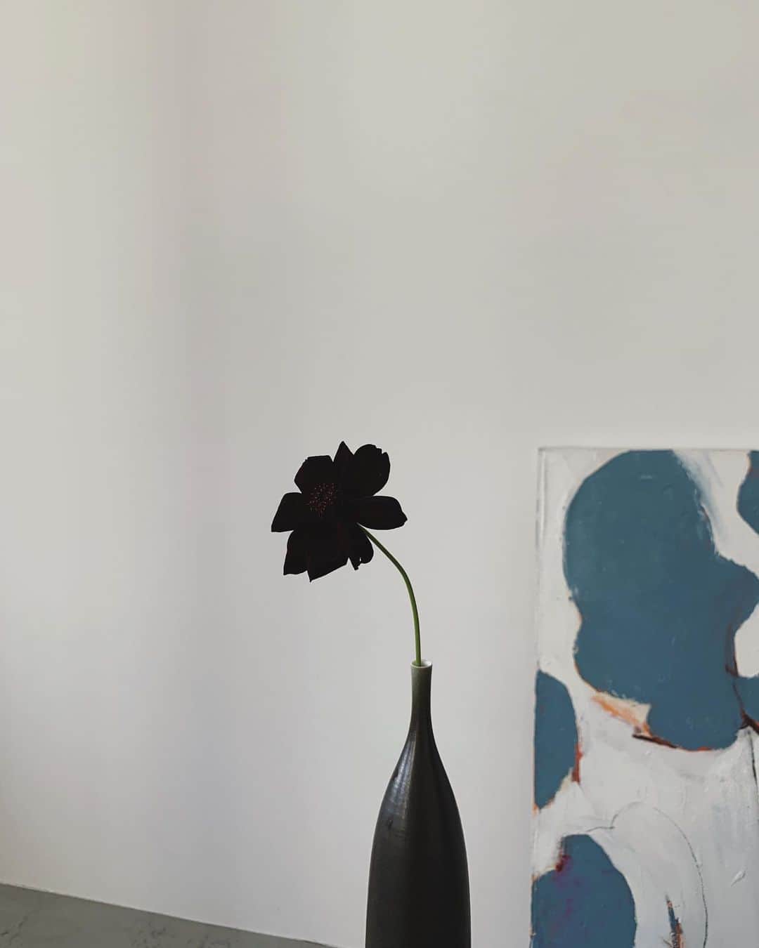 中村真里さんのインスタグラム写真 - (中村真里Instagram)「. BLACK FLOWERS」2月9日 13時23分 - _marinakamura_