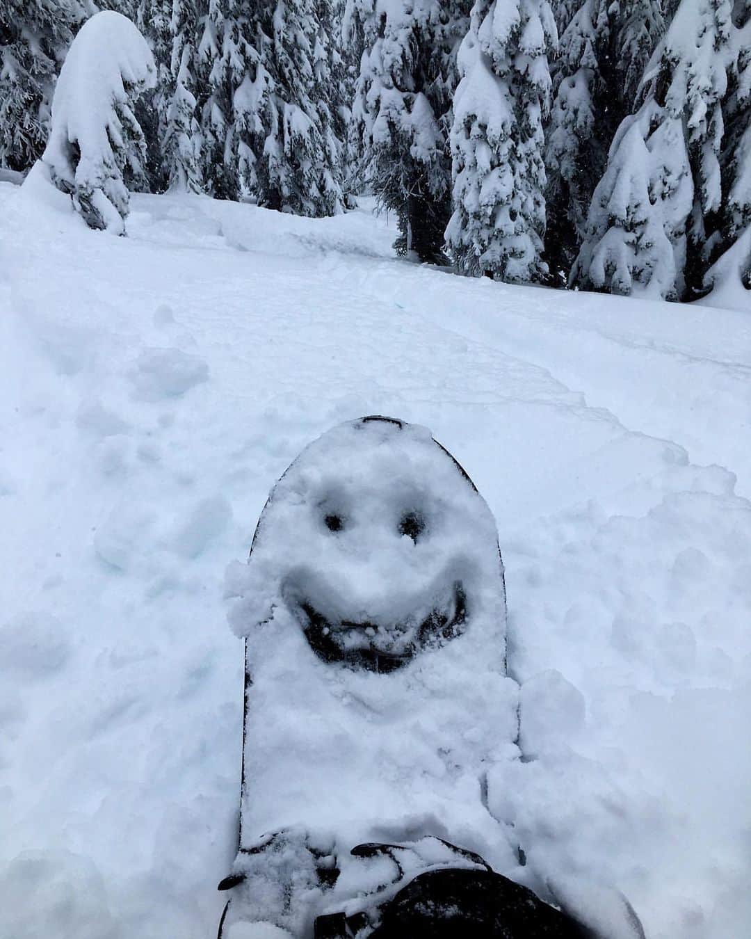Burton Japanさんのインスタグラム写真 - (Burton JapanInstagram)「雪が降るとボードもハッピー♪ Photo: @jessagilbert #RidingIsTheReason」2月9日 13時30分 - burtonjapan