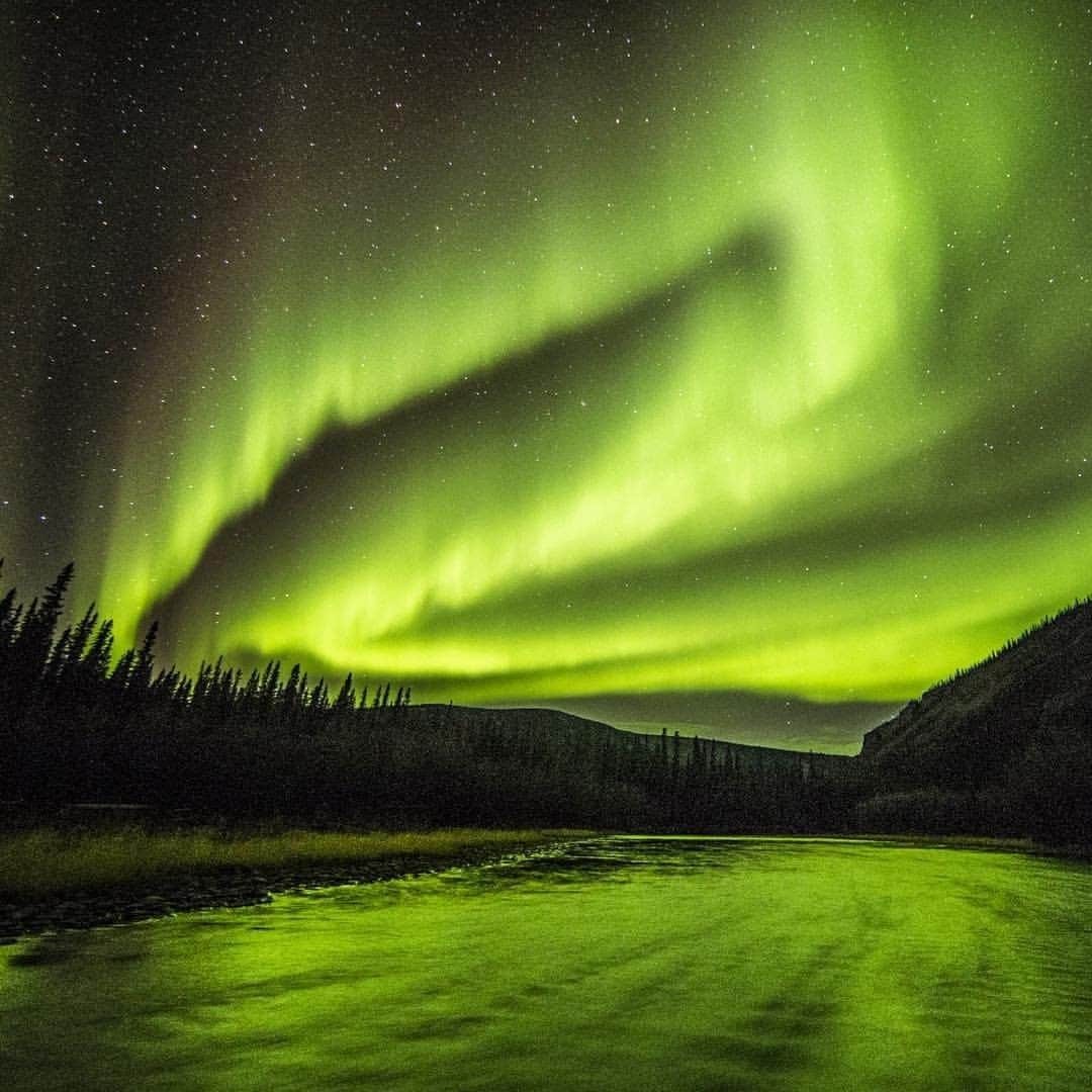 National Geographic Travelさんのインスタグラム写真 - (National Geographic TravelInstagram)「Photo by @PaulNicklen | While on the assignment in the Yukon, I stood chest-deep in a small Arctic lake, looking up at the dark sky. Behind me, along the shoreline, there was some rustling in the bushes. I thought it was a bear checking me out, but the sounds were so quiet that I wasn't sure. I decided to let out a howl in case it was a wolf, and an entire pack of wolves surrounding the lake answered my call in the most beautiful howling session I have ever heard, with the northern lights dancing overhead.  Follow me, @PaulNicklen, for more stories about my experiences traveling through some of the Earth's last true wild places. #Aurora #GoNorth #Adventure #Explore」2月9日 14時10分 - natgeotravel