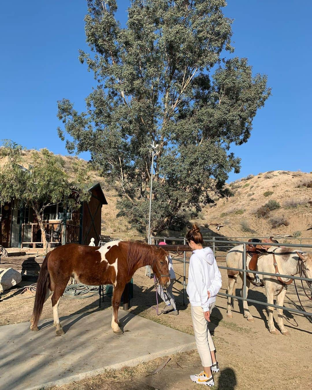 ソン・ユリさんのインスタグラム写真 - (ソン・ユリInstagram)「안녕🐎 넌 이름이 뭐~~니?」2月9日 14時20分 - sung_yuri_