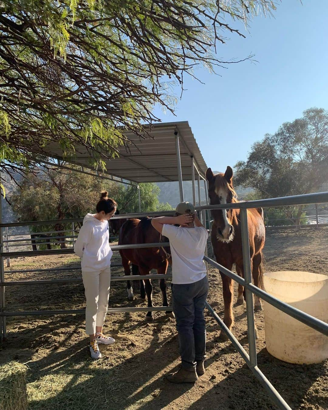 ソン・ユリさんのインスタグラム写真 - (ソン・ユリInstagram)「안녕🐎 넌 이름이 뭐~~니?」2月9日 14時20分 - sung_yuri_