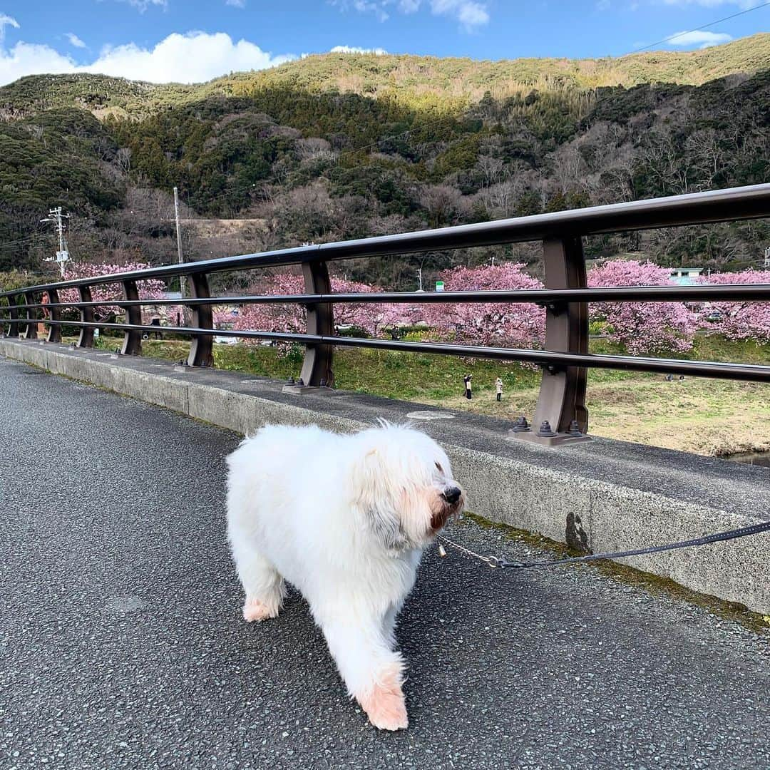 藤原美智子のインスタグラム