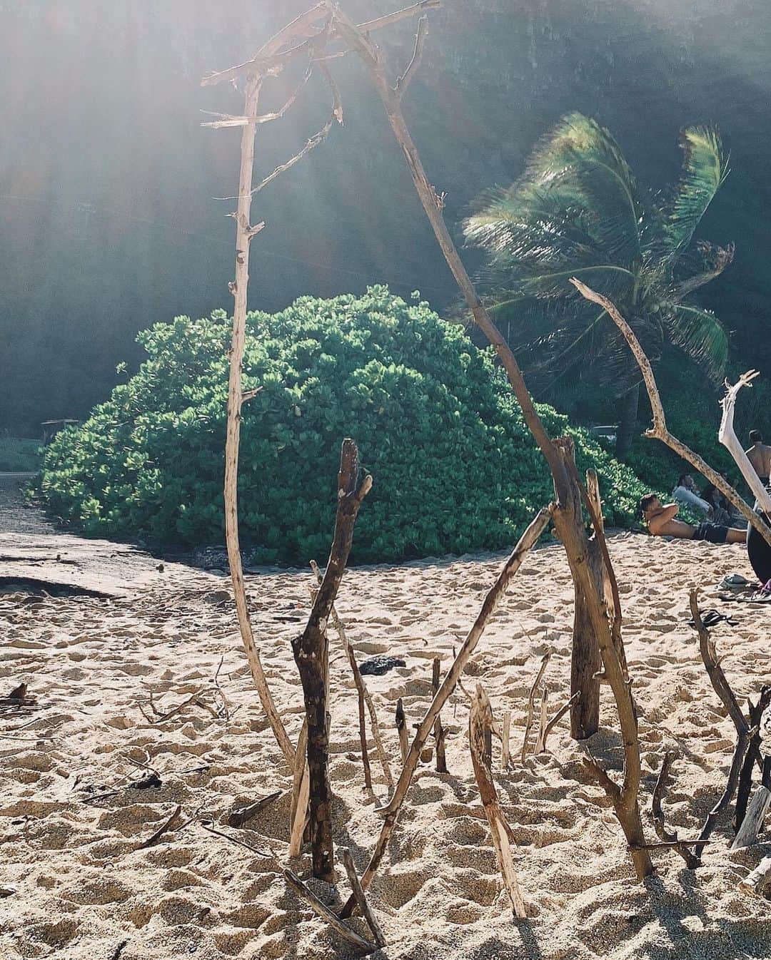 吉川ひなのさんのインスタグラム写真 - (吉川ひなのInstagram)「木の枝を一生懸命集めてみんなでおうちを作っていたよ☺️🌴⛺️ #娘HawaiiLife #息子HawaiiLife」2月9日 15時32分 - hinanoyoshikawa
