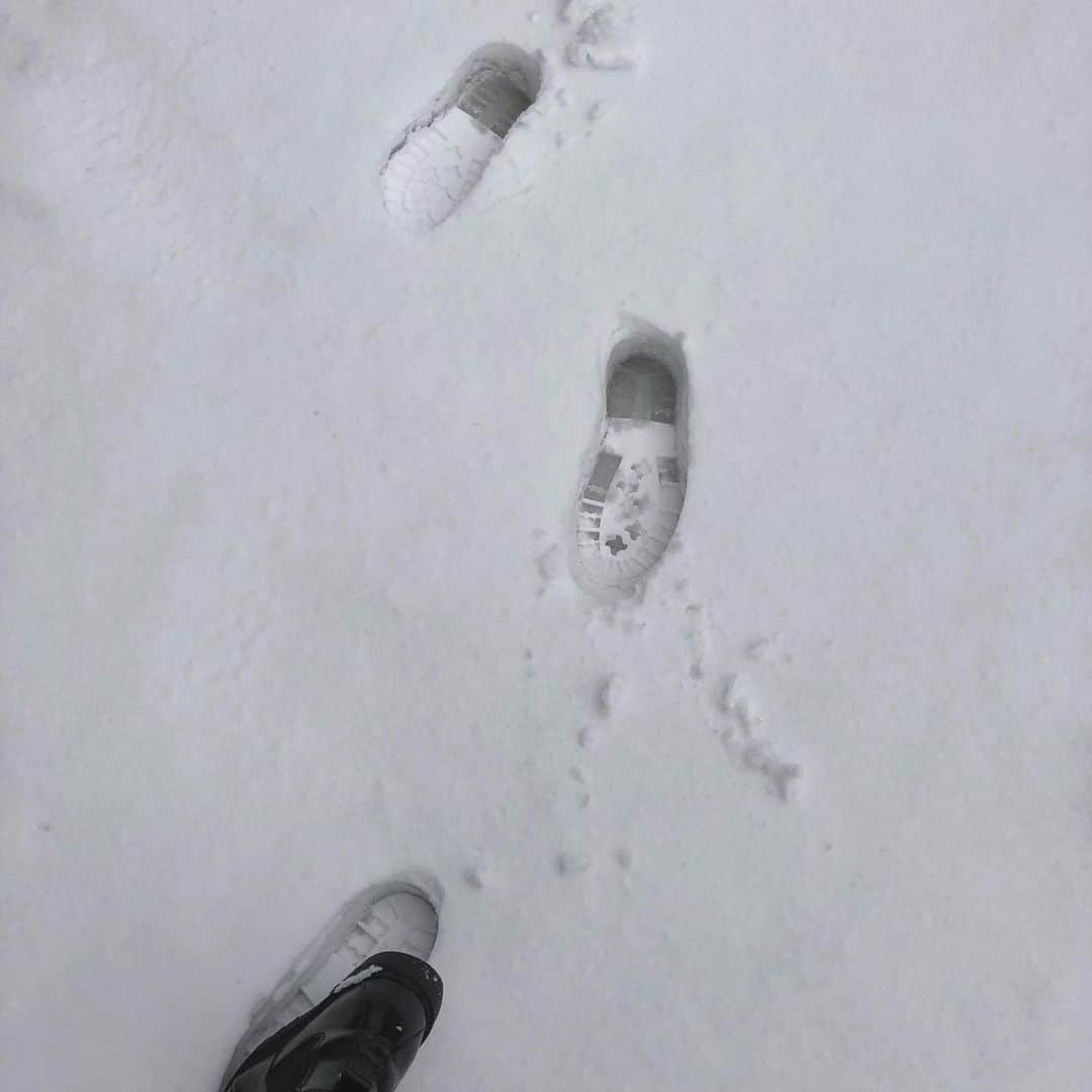平川はる香のインスタグラム：「. 先週ちょっとだけ札幌に帰ってました☃️ 1ヶ月遅れのお正月休みという事で☺︎ 少ししかいられなくて特になにもしてないけど、温泉行ったり友達と会ったり、実家でぐうたらしたり、ぐうたらしたり。 帰ってきたので、ぼちぼちしゃんとして生活しようと思います🙆🏻‍♀️ . 最近は観劇鑑賞三昧で、やっぱり演劇ってすてきだなぁってしみじみ思ってます。 そろそろ「チェーザレ」の稽古も始まるので、今週こそ身体を動かしにいくのが目標。筋肉めっちゃめちゃ落ちてると思う🙄」