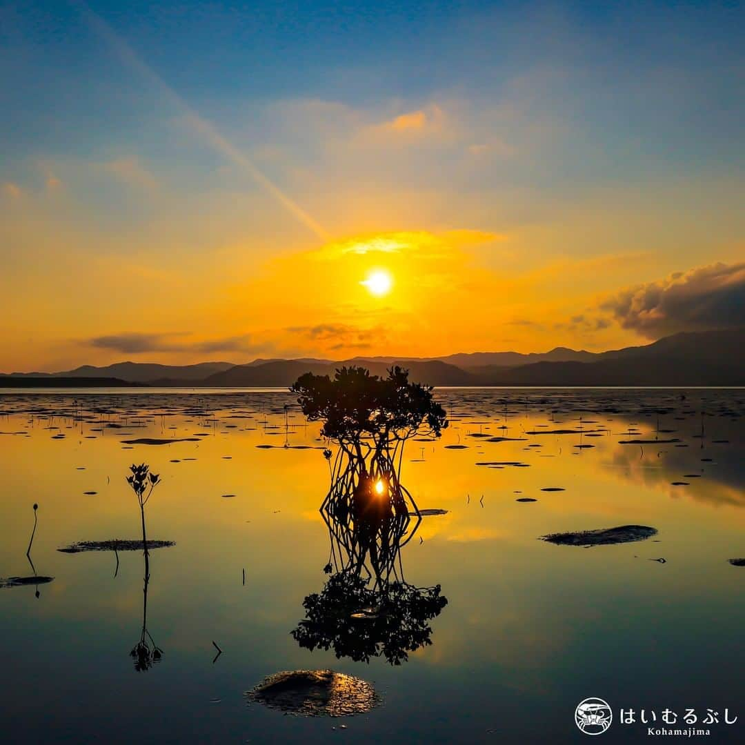 HAIMURUBUSHI はいむるぶしさんのインスタグラム写真 - (HAIMURUBUSHI はいむるぶしInstagram)「海水と淡水が混じり合うマングローブ林から望む夕焼け。 静かな水面に映し出される夕日とマングローブのシルエットが幻想的な一枚… #八重山諸島 #小浜島 #リゾート #はいむるぶし #yaeyamaislands #kohamajima #beachresort #haimurubushi」2月9日 17時04分 - haimurubushi_resorts