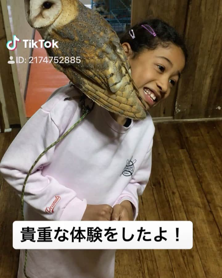 ミーミのインスタグラム：「赤ちゃんの時から 人間に（ #あいるん  さん）育てられたフクロウ🦉 だから、こんな凄いことが出来るんだって‼️ 本当に貴重な体験をさせて頂きました‼️ #ミーミちゃんねる #ミーミママ #kidsユーチューバーママの日常 #ミーミ #あにまるず #ふくろう #えーし #あいるん」