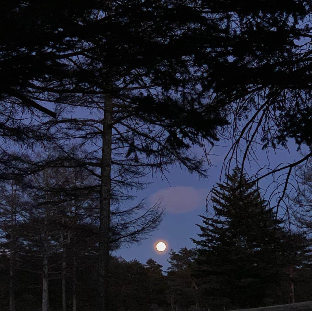 橋本志穂さんのインスタグラム写真 - (橋本志穂Instagram)「みてみてみてーー みんな、空見上げて見て〜 満月🌕 すごく綺麗♫ #満月」2月9日 17時37分 - shihohashimoto3