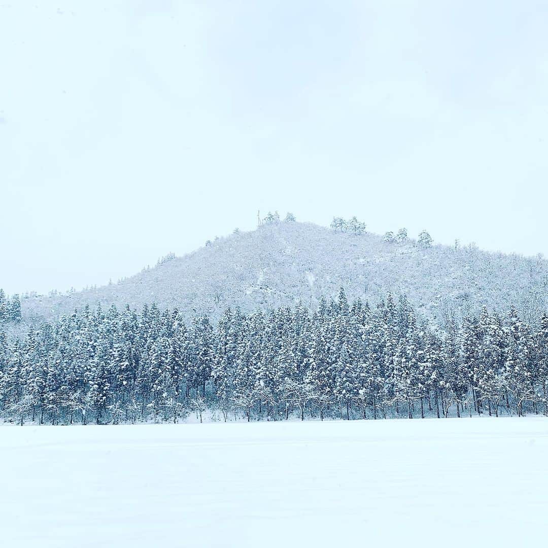 大桃美代子さんのインスタグラム写真 - (大桃美代子Instagram)「やっとまとまった雪が降りました。  雪国らしくなったかな。  除雪車は嬉しそうに稼働。  これも地域経済の大事なサイクル。  風邪に気をつけてお過ごしくださいね。  #新潟#山形#雪景色#城山#雪#snow #ski#行くぜ東北#冬のご褒美キャンペーン#犬」2月10日 5時11分 - miyoko_omomo