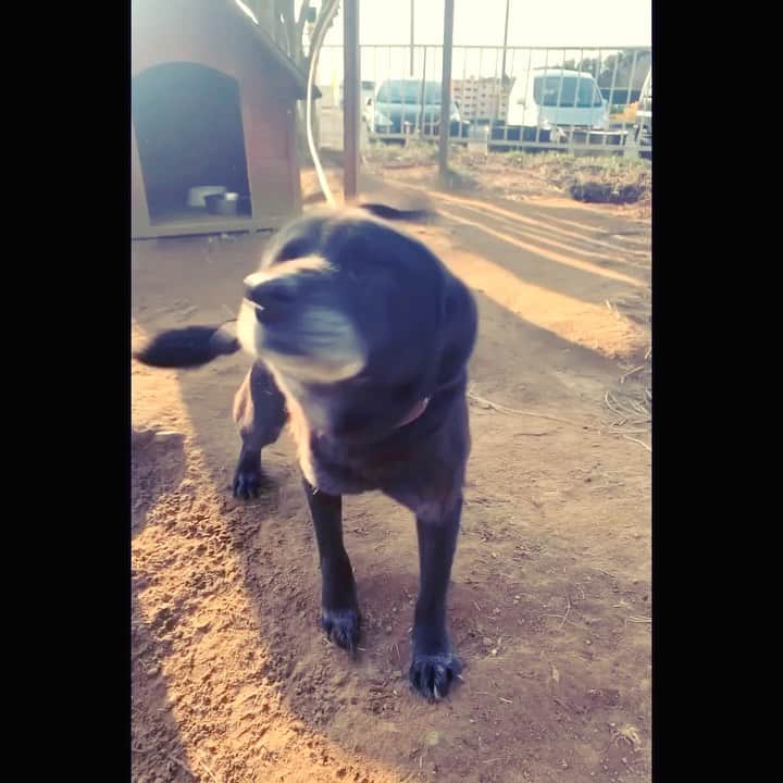 松本明人のインスタグラム