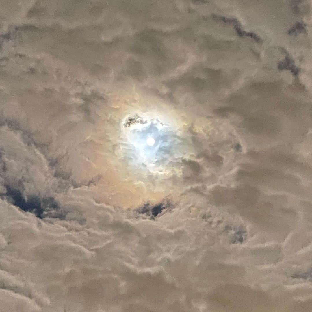 ミトさんのインスタグラム写真 - (ミトInstagram)「・ ・ 雑務を終えてうちに戻ろうとしたら、 ・ 満月と雲の交わりがめちゃくちゃ綺麗で ・ そのまま写真撮りまくってた。 ・ さーむーいー、、、焼酎のお湯割飲んで寝ます ・ ・ #満月 #満月の夜 #満月と雲 #明るい #幻想的 #外寒過ぎ #てか零下？ #震える #明日は新宿でアナログ発売記念トーク #新宿hmv #であります #clammbon #クラムボン #ミト #ミトムボン」2月10日 4時33分 - micromicrophone