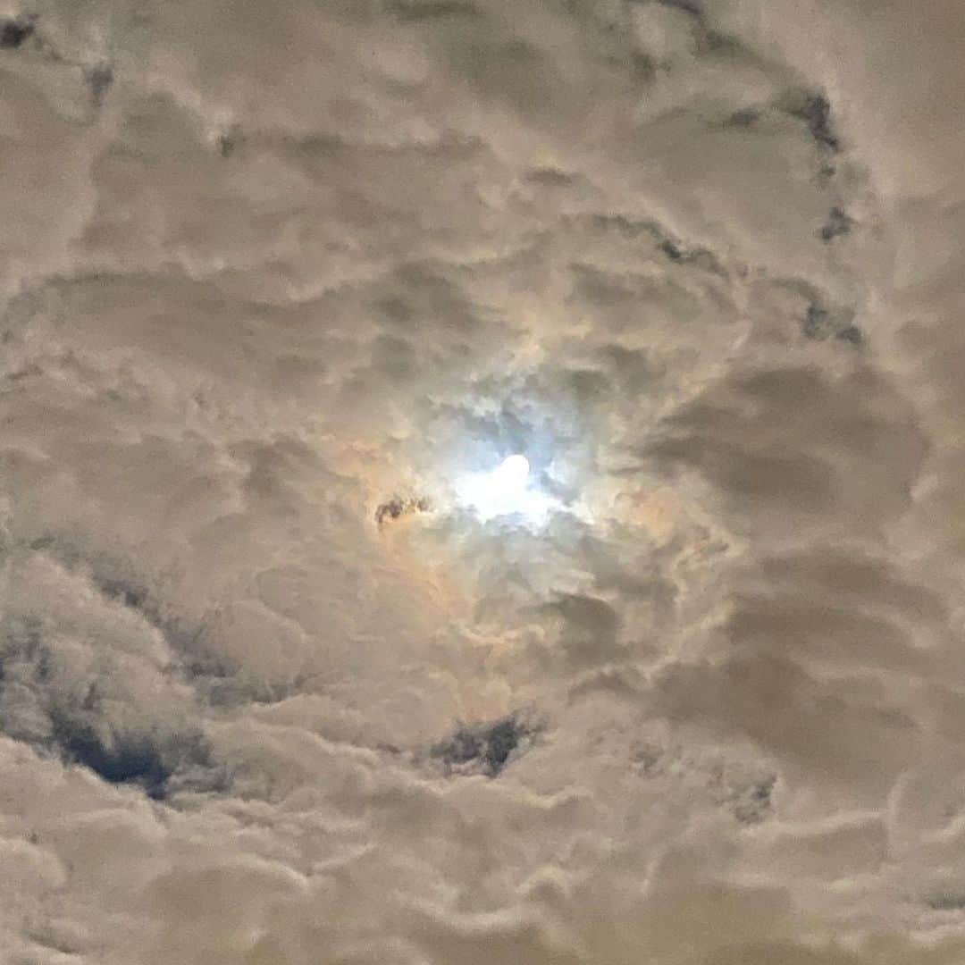 ミトさんのインスタグラム写真 - (ミトInstagram)「・ ・ 雑務を終えてうちに戻ろうとしたら、 ・ 満月と雲の交わりがめちゃくちゃ綺麗で ・ そのまま写真撮りまくってた。 ・ さーむーいー、、、焼酎のお湯割飲んで寝ます ・ ・ #満月 #満月の夜 #満月と雲 #明るい #幻想的 #外寒過ぎ #てか零下？ #震える #明日は新宿でアナログ発売記念トーク #新宿hmv #であります #clammbon #クラムボン #ミト #ミトムボン」2月10日 4時33分 - micromicrophone