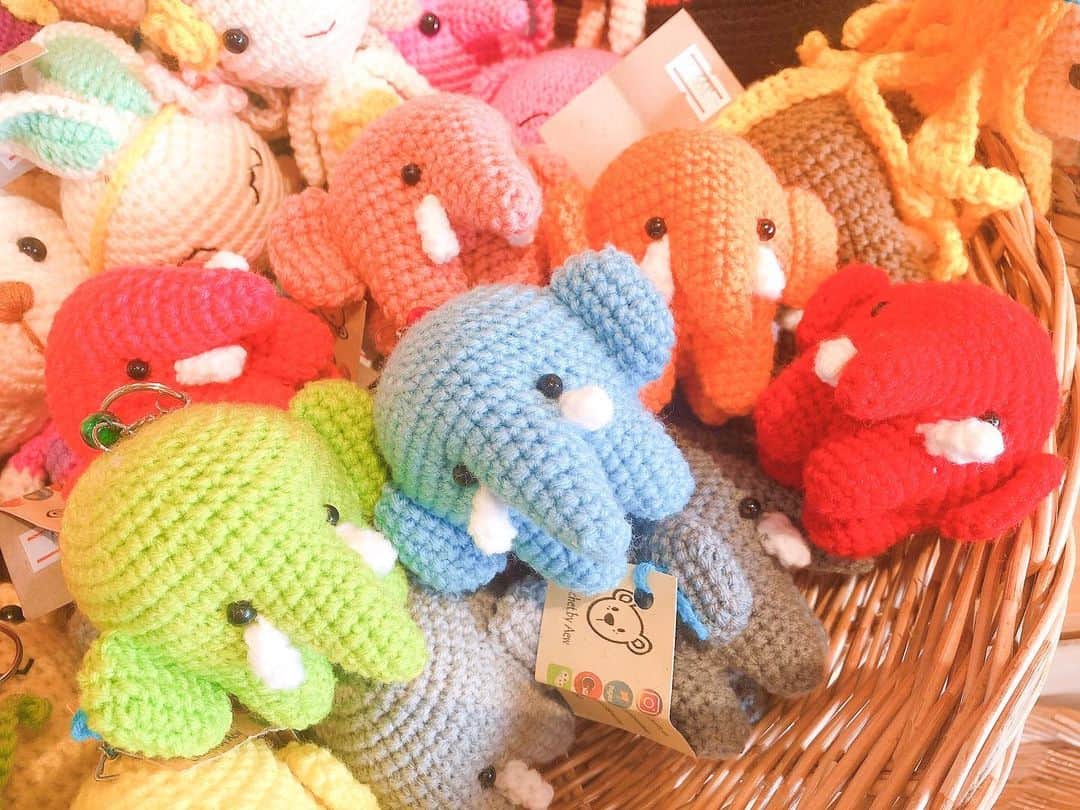 吉川千愛のインスタグラム：「ぞうさん🐘🧡﻿ ﻿ メンバーカラーが﻿ あって並べてしまったw﻿ ﻿ ピンクが大体どっちか無いことが﻿ 多いもんなぁ〜！！﻿ ﻿ ﻿ #タイ﻿ #thai﻿ #thailand ﻿ #ぞうさん﻿ #LinQ﻿ #吉川千愛﻿ #こんにちあ﻿ #あいんちゅ」
