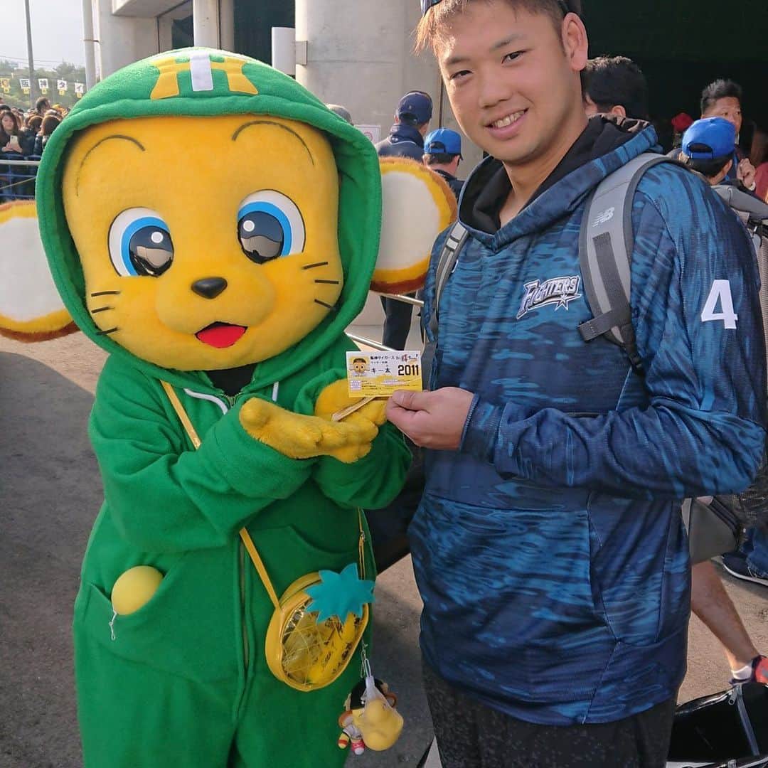 谷口雄也のインスタグラム：「今年もお会いしました、キー太くん。僕を見つけるなり、大手を振って迎えてくれました^ ^  #阪神タイガース  #阪神タイガースキャンプ  #キー太  #北海道日本ハムファイターズ  #谷口雄也」