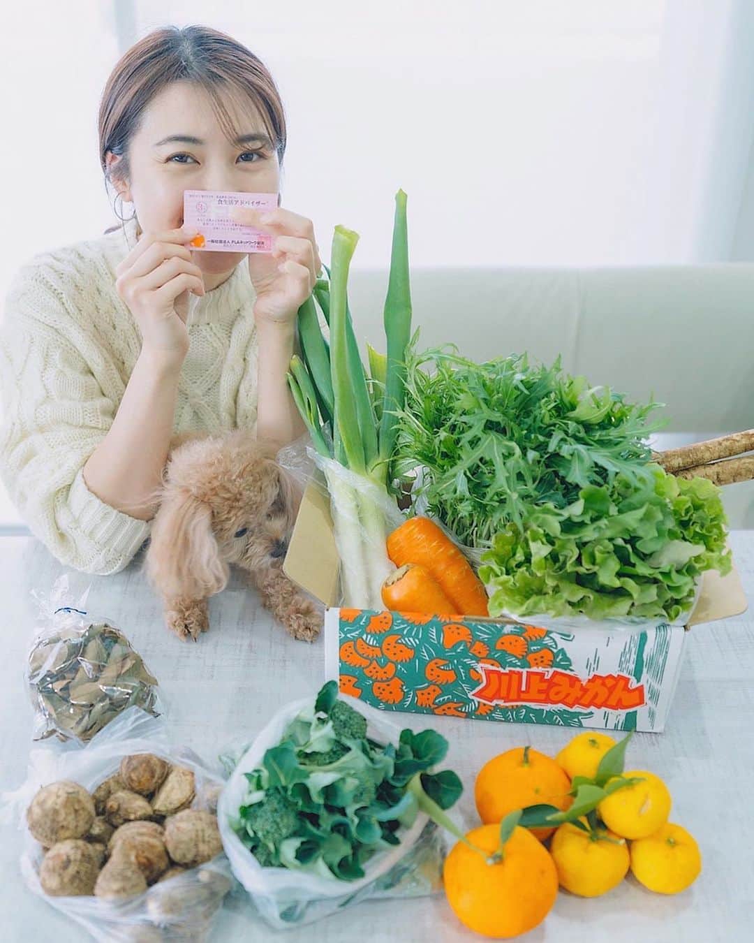 mikicoco00のインスタグラム：「* * 昨年、食生活アドバイザー の資格を取得しました🍆🥦🥕 * * 一番のきっかけは家族が体調を壊してしまったこと。 栄養沢山の食事を作れたり、 知識があれば少しでも役に立てるんじゃないかなと 思ったからです。  食事はこれからもずっと関わる物だし、 勉強してよかった！ って言ってもまだまだなので🤭 引き続き勉強します🙋‍♀️🍳 * 野菜は全部お義父さんが育てた野菜！ これまた美味しーい😍！！ 幸せ〜🤤🍚笑 ローリエまで手作りってビックリ！😳🌿 * * * #食生活アドバイザー#独学#4ヶ月#資格 #野菜#無農薬#健康#緑黄色野菜#美肌 #ダイエット#体内美容#健康ごはん#健康的に美しく #笑うこと#食べること #あんちゃん#🐶#🍊」