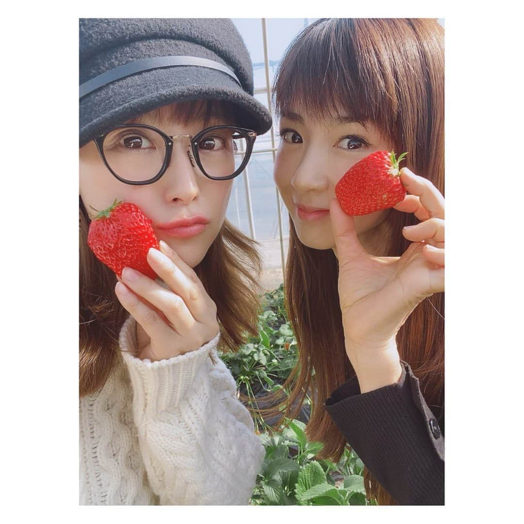 鈴木奈々のインスタグラム