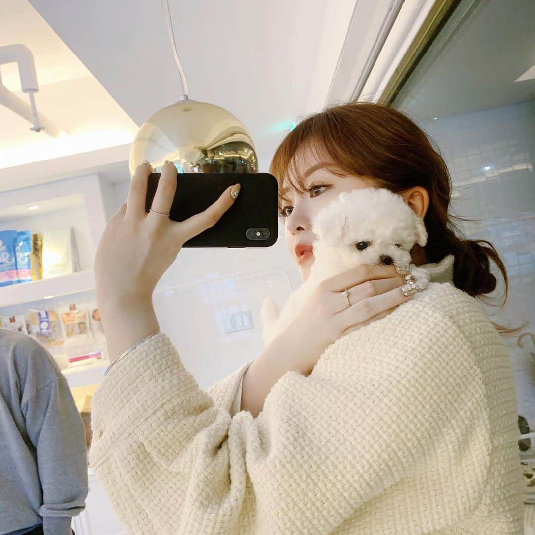 スヒョンさんのインスタグラム写真 - (スヒョンInstagram)「♥ 장숑이 동생으로 찜했던 아가는 옆집으로 갔다 🐶 동생에서 사촌 동생으로 변신❕ @commondog___  𝑱𝒂𝒏𝒈𝒔𝒖𝒉𝒚𝒖𝒏」2月9日 21時25分 - jshs2