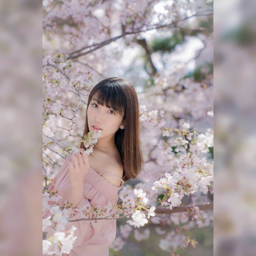 板野優花さんのインスタグラム写真 - (板野優花Instagram)「Photo by @take0.d さん ・ 早く春来ないかなぁ…🌸🐝 そして、お仕事の依頼もたくさん来ないなぁ😂 ・ 昨日投稿したバスツアーは春開催だから 合間に写真とかも沢山撮って貰えたら嬉しいなー💋 まだまだ募集してるからみんな来てね✨ ・ #撮影会 #撮影会モデル #フリーモデル  #photo_session #japan_portrait #japanesegirl #ポートレート #ポートレートモデル #サロンモデル #関西サロモ #撮影依頼受付中 #モデル依頼受付中  #カメラマンさんと繋がりたい #カメラ女子と繋がりたい #サロンモデル依頼受付中 #美容師さんと繋がりたい #オフショル #桜ポートレート #桜 #cherryblossoms #おしゃれさんと繋がりたい #美意識」2月9日 22時03分 - yuka_itano